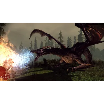 Dragon Age: Origins The Awakening (Steam Gift Region Free / ROW)) - irongamers.ru