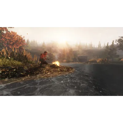 Subsistence * RU/KZ/СНГ/TR/AR * STEAM АВТОДОСТАВКА - irongamers.ru