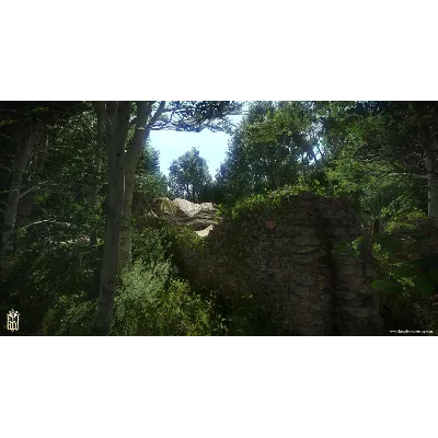 Kingdom Come Deliverance The Amorous Adventures STEAM КЛЮЧ - irongamers.ru