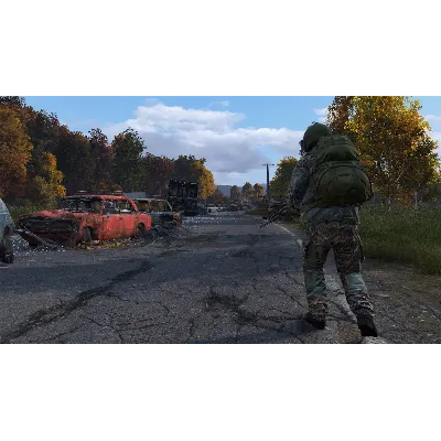 DayZ XBOX ONE / SERIES X|S Цифровой Ключ - irongamers.ru