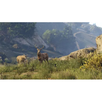 24/7 XBOX Grand Theft Auto V (Xbox One & Xbox Series X|S) - irongamers.ru