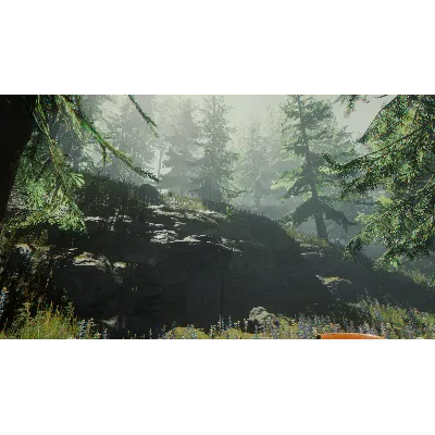 The Forest - STEAM (Region free) + БОНУС (ФОРЕСТ) - irongamers.ru