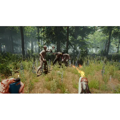 The Forest - STEAM (Region free) + БОНУС (ФОРЕСТ) - irongamers.ru