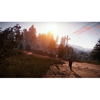 ⭐ STEAM RUST ONLINE (Region Free) + BONUS - irongamers.ru