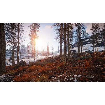 ⭐ STEAM RUST ONLINE (Region Free) + BONUS - irongamers.ru