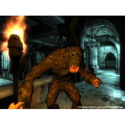 The Elder Scrolls IV: Oblivion Game of the Year (GOTY) Edition Deluxe - irongamers.ru