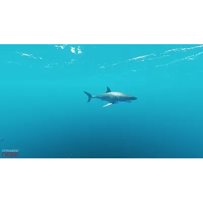 Stranded Deep - STEAM (Region free) - irongamers.ru
