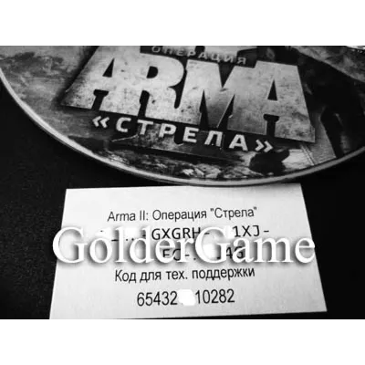 ArmA 2: Операция Стрела (Photo CD-Key) STEAM - irongamers.ru