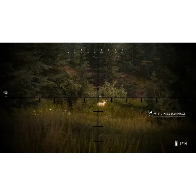 Hunting Simulator 2 Bear Hunter Edition Xbox one - irongamers.ru