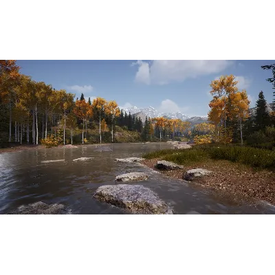 Hunting Simulator 2 Bear Hunter Edition Xbox one - irongamers.ru