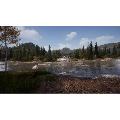 Hunting Simulator 2 Bear Hunter Edition Xbox one - irongamers.ru