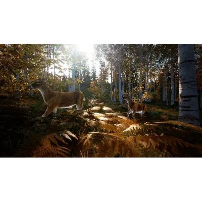 Hunting Simulator 2 Bear Hunter Edition Xbox one - irongamers.ru