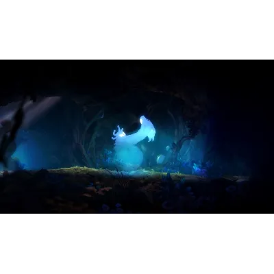 Ori and the Blind Forest: Definitive Edition XBOX - irongamers.ru