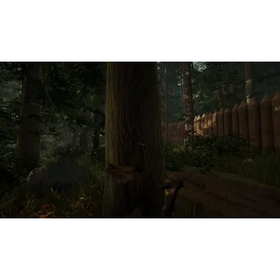 The Forest 1 | АВТОДОСТАВКА | Steam gift Россия - irongamers.ru