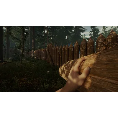 The Forest +ВЫБОР РЕГИОНА STEAM АВТОДОСТАВКА 0% - irongamers.ru