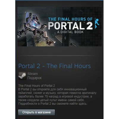 Portal 2 - The Final Hours (Steam Gift Region Free) - irongamers.ru