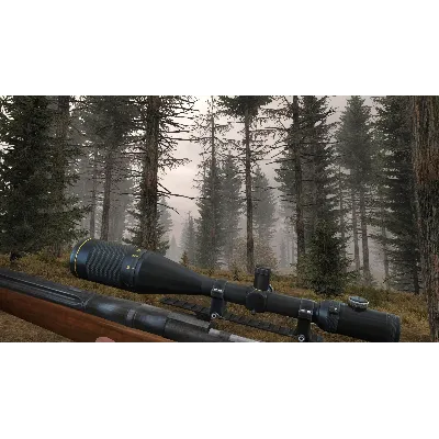 Cabela&acute;s Big Game Hunter Pro Hunts (Steam Gift RegFree) - irongamers.ru