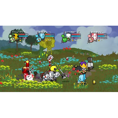 ⭐ Castle Crashers - STEAM ОНЛАЙН (Region Free) - irongamers.ru