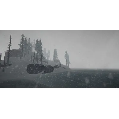 The Long Dark (Steam Gift Россия) - irongamers.ru