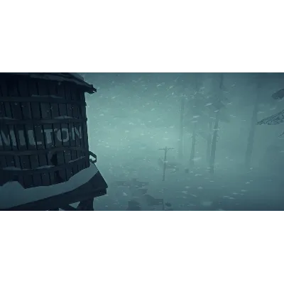 The Long Dark (Steam Gift Россия) - irongamers.ru