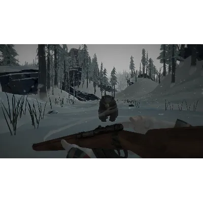 The Long Dark (Steam Gift Россия) - irongamers.ru