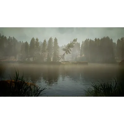 BIGFOOT | Steam | АВТОВЫДАЧА 24/7 | Region Free - irongamers.ru