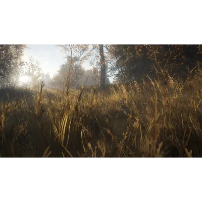 theHunter: Call of the Wild + 35 DLC | Steam | АВТОВЫДАЧА 24/7 - irongamers.ru