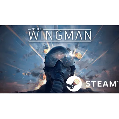 Project Wingman - STEAM (Region free) - irongamers.ru