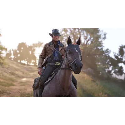 Red Dead Redemption 2 Xbox One Россия Ключ - irongamers.ru