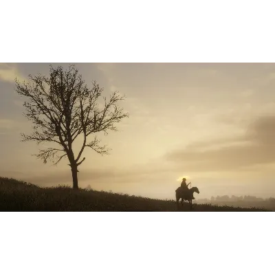 Red Dead Redemption 2 Xbox One Россия Ключ - irongamers.ru