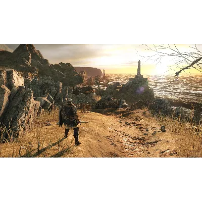 DARK SOULS II: Scholar of the First Sin (STEAM) Аккаунт - irongamers.ru