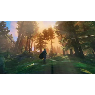 Valheim | АВТОДОСТАВКА [Россия Steam Gift] - irongamers.ru