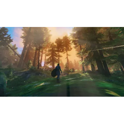 Valheim * RU/KZ/СНГ/TR/AR * STEAM АВТОДОСТАВКА - irongamers.ru