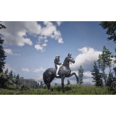 RDR 2 SOCIAL CLUB/ONLINE/RDR2 ПОЛНЫЙ ДОСТУП +ПОЧТА - irongamers.ru