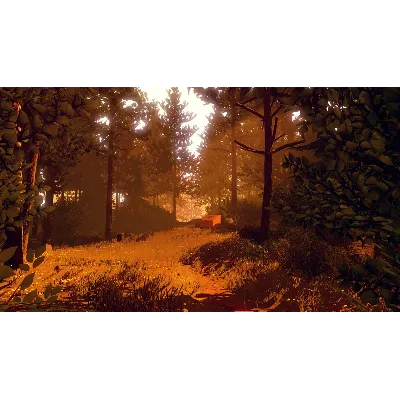 Firewatch XBOX ONE / XBOX SERIES X|S [ Ключ Код ] - irongamers.ru