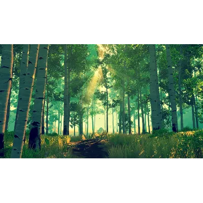 Firewatch XBOX ONE / XBOX SERIES X|S [ Ключ Код ] - irongamers.ru