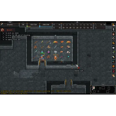ADOM (Ancient Domains Of Mystery) (Steam Global Key) - irongamers.ru