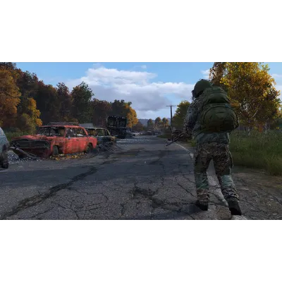 DayZ Cool Edition | АВТОДОСТАВКА Steam gift Россия - irongamers.ru