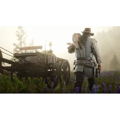 Red Dead Online STEAM (Region Free) RDR 2 ONLINE - irongamers.ru
