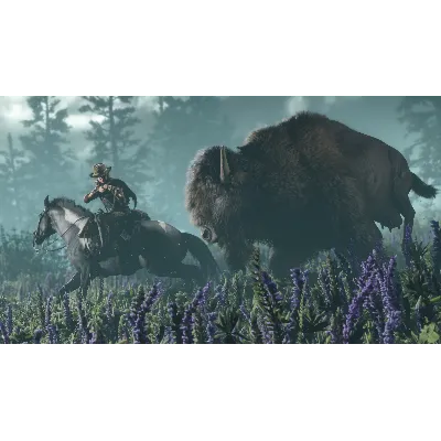 Red Dead Online STEAM (Region Free) RDR 2 ONLINE - irongamers.ru