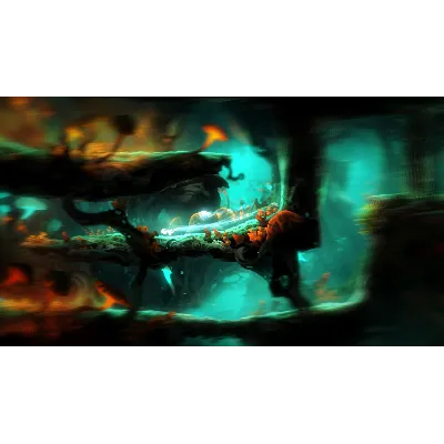 Ori and the Blind Forest: Definitive Edition АВТО - irongamers.ru