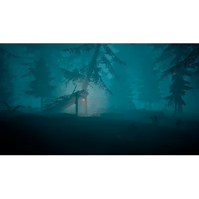 BIGFOOT - ОНЛАЙН STEAM (Region Free) - irongamers.ru