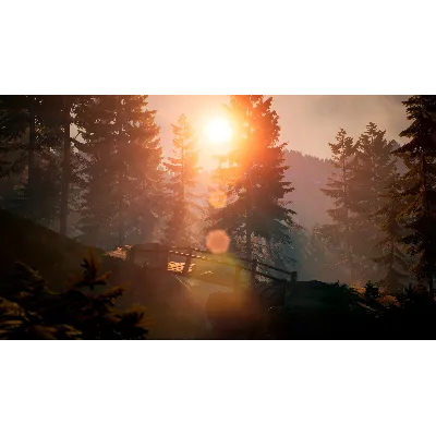 BIGFOOT - ОНЛАЙН STEAM (Region Free) - irongamers.ru