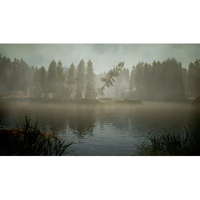 BIGFOOT - ОНЛАЙН STEAM (Region Free) - irongamers.ru