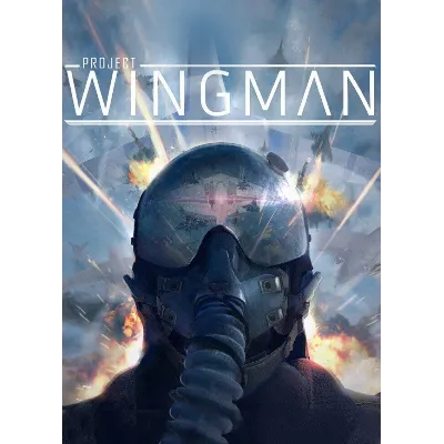 Project Wingman STEAM KEY RU+CIS - irongamers.ru