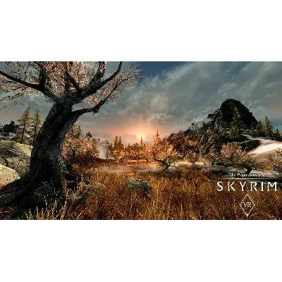 ⭐ The Elder Scrolls V: Skyrim VR - STEAM (GLOBAL) - irongamers.ru
