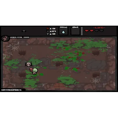 Binding of Isaac Wrath of the Lamb DLC АВТОДОСТАВКА STEAM РОССИЯ - irongamers.ru
