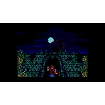 Castlevania Anniversary Collection (Steam Ключ/Global) - irongamers.ru