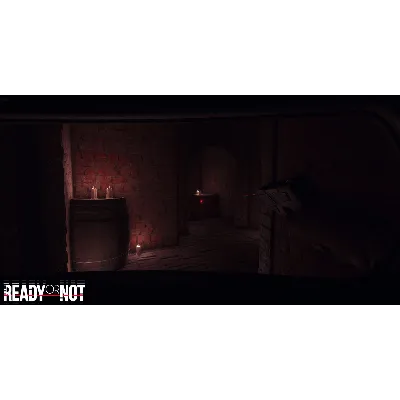Ready Or Not Standard\Deluxe STEAM•RU АВТОДОСТАВКА 0% - irongamers.ru