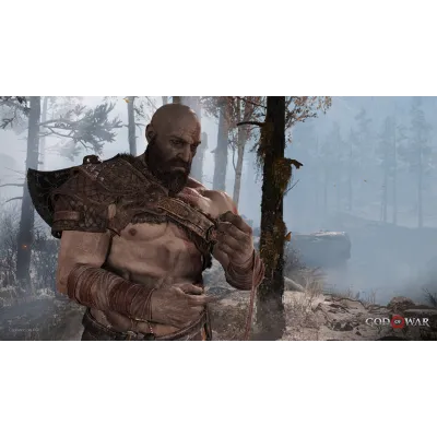 God of War | АВТОДОСТАВКА [Россия - Steam Gift] - irongamers.ru